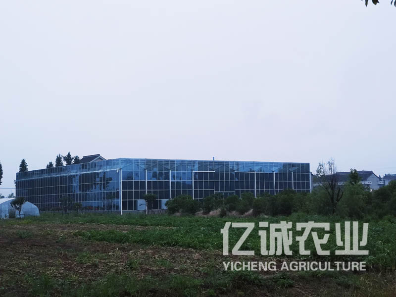 哈尔滨智能玻璃温室大棚为农业生产提供了可靠的保障