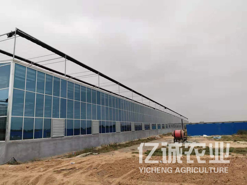 山东钢结构大跨度智能玻璃温室
